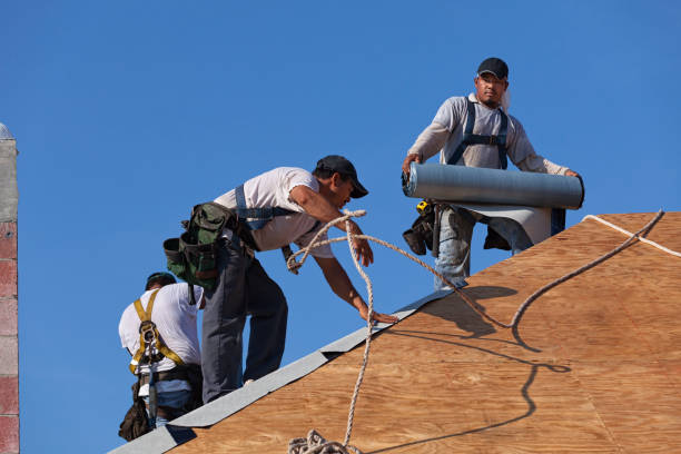 Best Flat Roof Repair Services  in Rio, WI