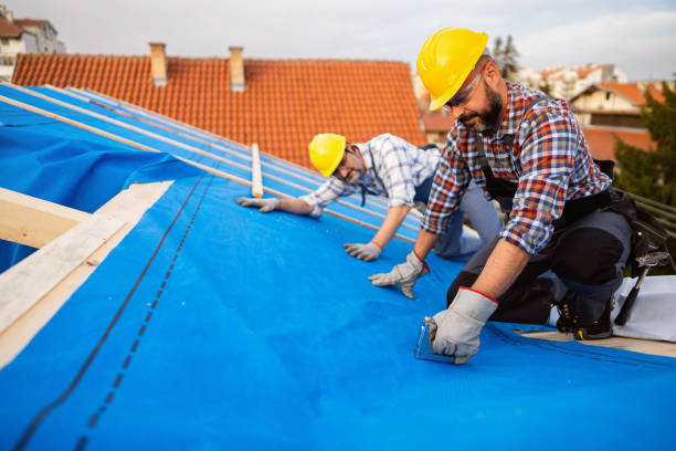 Best Best Roofing Contractors  in Rio, WI