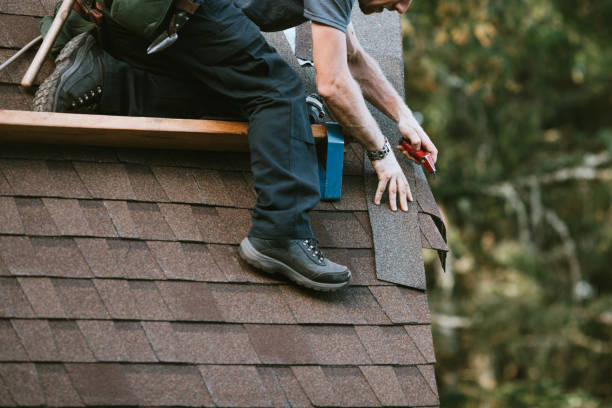 Best Roof Gutter Cleaning  in Rio, WI